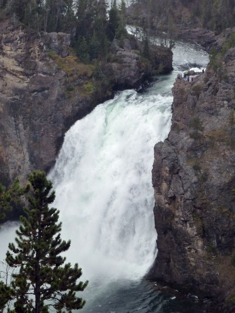 Canyon village Upper fall (4).JPG